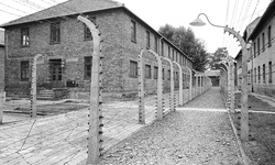 Auschwitz komitesi’nden Holokost mağdurlarının eşyalarının satışa çıkarılmasına tepki