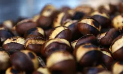 Kışın vazgeçilmezi Kestane cep yakıyor