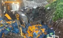 Sınır kapısında 6 ton zehirli mandalina tespit edildi