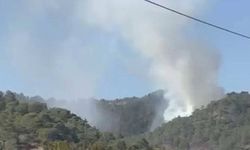 Muğla'da orman yangını: Ekiplerin müdahalesi sürüyor