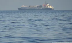 Marmara'da binlerce sığır gemide tutsak