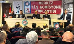 Birleşik Metal-İş MESS eylem planını açıkladı
