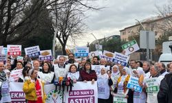 Emekçiler Ankara'da: "Savaşa değil emekçiye bütçe"