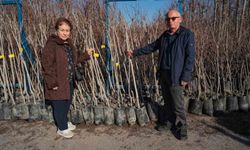 75 üreticiye 3 bin 600 fidan