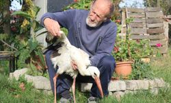 Annesinin yuvadan attığı leyleğe, mahalleli sahip çıktı