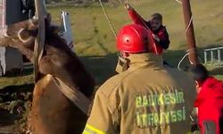 Balıkesir'de kuyuya düşen inek kurtarıldı