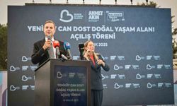 Balıkesir'den can dostlara sıcak yuva