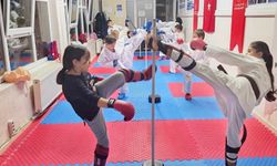 Bilecik'te karate spor okullarında yoğun tempo
