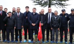 Bilecik'te şehitler adına fidan dikimi gerçekleştirildi