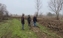 Bilecik'te taşkın riskine karşı dere ıslahı