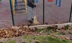 Bilecik'te temizlik seferberliği