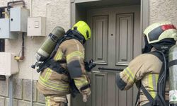 Bursa'da ev yangını: İtfaiyenin hızlı müdahalesiyle akvaryumdaki balıklar kurtarıldı