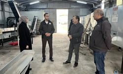 Ceviziyle öne çıkan Gölpazarı'nda üretim zinciri güçleniyor