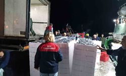 Demirköy'de hamsi denetimi