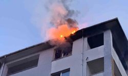 Edirne'de dairede çıkan yangın çatıya sıçradı
