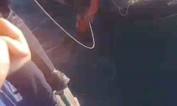 Feribottan atlayan kişiyi Gestaş personelleri ve balıkçılar kurtardı