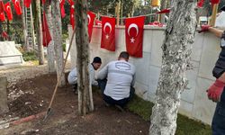 Gebze Şehitliği'nde bakım ve onarım çalışması yapıldı