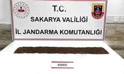Jandarma uyuşturucuya geçit vermiyor: 1 tutuklama