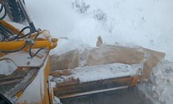 Kar yağışının etkili olduğu Bilecik'te ekipler sahada