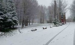 Kartepe'ye lapa lapa kar yağıyor
