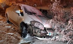 Kaygan zeminde kontrolü kaybedip kazaya neden oldu: 3'ü çocuk 7 kişi yaralandı