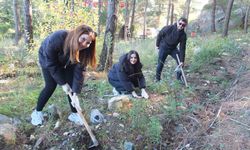 Kazdağlarında Bal Ormanına üniversiteli desteği