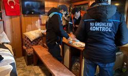 Kırklareli'nde su ürünlerine sıkı denetim!