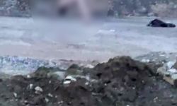 Köprü altında akıllara durgunluk veren görüntüler