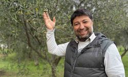 Oleolog Dr. Kıvrak: 'Erken ve olgun hasat zeytinyağları farklı içeriklere sahiptir'