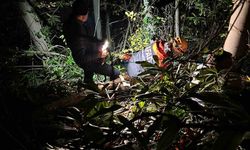 Orman işçisi için ekipler seferber oldu