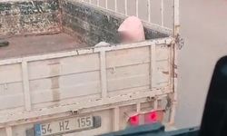 Soğuk havada yürek sızlatan yolculuk