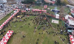 Tekirdağ'da hamsi izdihamı: 3 ton hamsi dağıtıldı