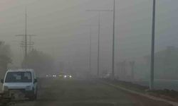 Tekirdağ'da sis etkili oldu