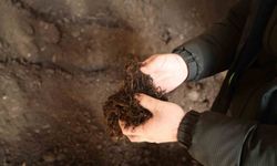 Torf üretimiyle yılda 50 milyon lira tasarruf sağlanıyor