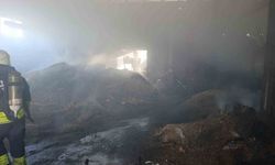 Vize'de palet fabrikasının deposunda yangın