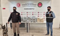 Yeni yıl öncesi sınır kapılarında dev uyuşturucu operasyonu