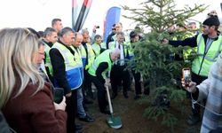 Yeniden yeşil Bursa için 15 bin nefes