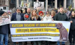 Katliam yasasını BM’ye taşıdılar