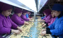 FİSKOBİRLİK: 18 yılda 15 milyar lira zarar!