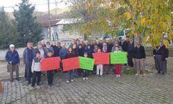 Yatırımcı yok ama OSB ısrarı sürüyor