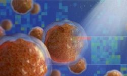 Bilim insanları, löseminin sessiz belirtisini açıkladı