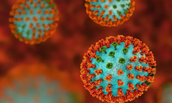 Mutasyona uğramış H3N2 Türkiye’de: “Bulaştırıcılık arttı”, risk grupları için zatürre alarmı