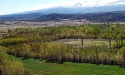 11 ilde bazı alanlar orman sınırları dışına çıkarıldı