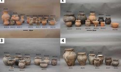 Antik Çin'in kırmızı pirinç şarabının sırrı açığa çıktı