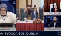 DEM Parti'den CHP'nin süreç raporuna eleştiri