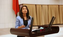 DEM Parti'den, Özgür Özel’e tepki!