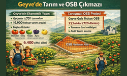 Geyve yol ayrımında: Tarım mı, OSB mi?