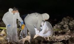 Elif Kumal'ın ölüm nedeni belli oldu