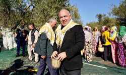 'Ayvalık zeytinyağı, sektörün vitrinidir'