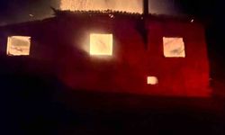 Bilecik'te korkutan yangın